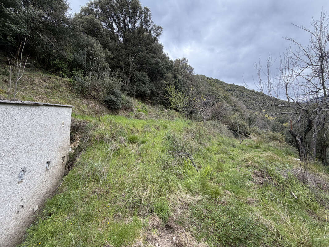 Terrain à CASTELLARE-DI-MERCURIO