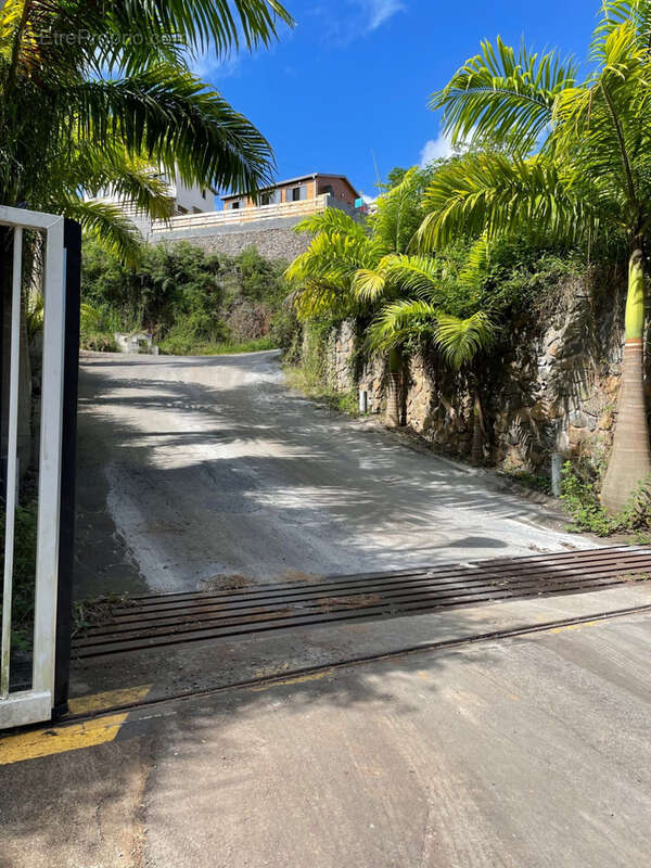 Grand natte - photo 2