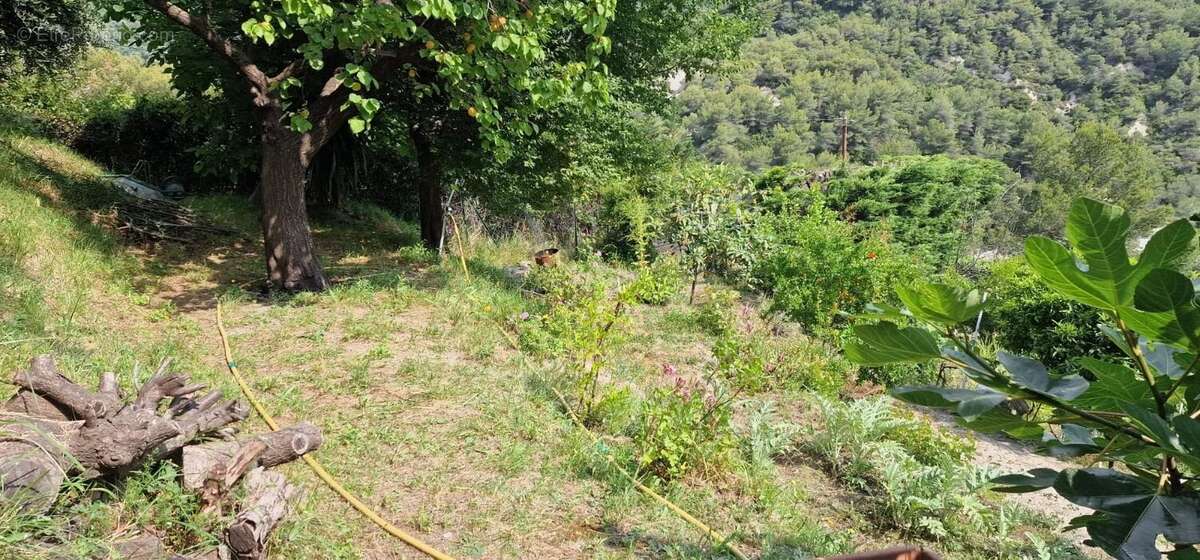 Terrain à MENTON