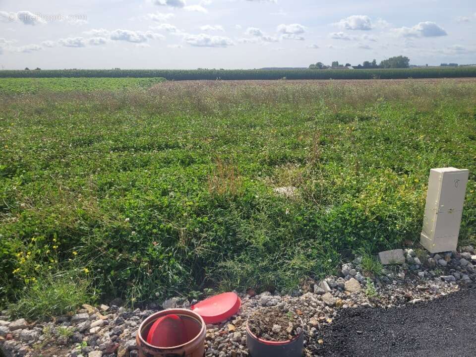 Terrain à HAZEBROUCK