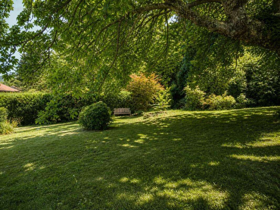 Ensemble immobilier - 3 maisons mitoyennes - Labastide-Rouairoux - photo 19