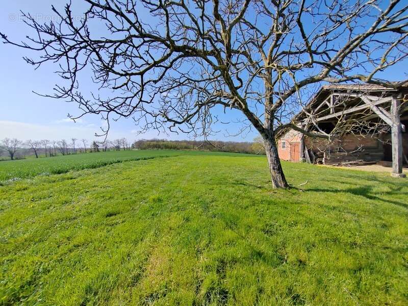 Située à MIRAMONT LATOUR, maison à rénover avec vue panoramique - photo 2