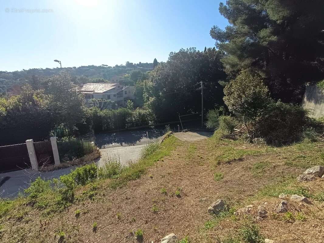 Terrain à VALLAURIS
