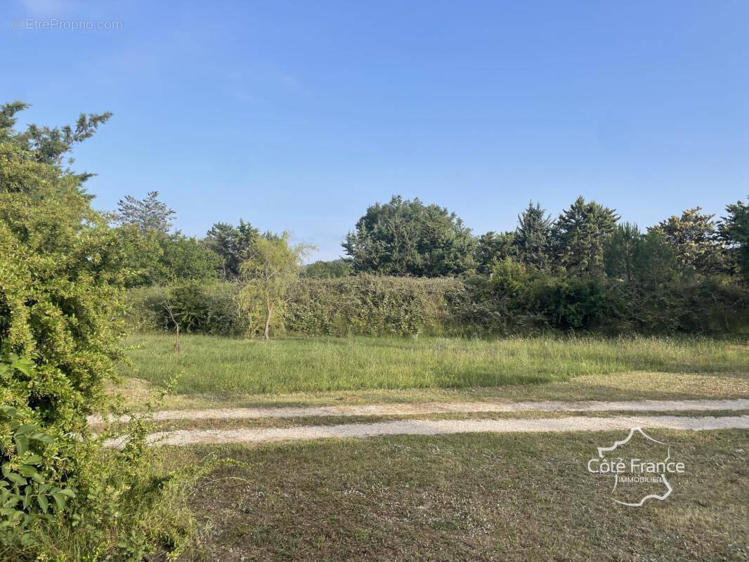 Terrain à TOURRETTES