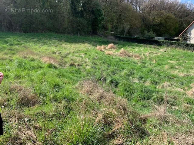 Terrain à ARGENTON-SUR-CREUSE