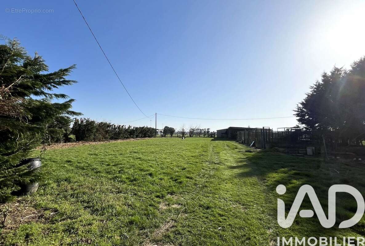 Photo 4 - Maison à COLAYRAC-SAINT-CIRQ