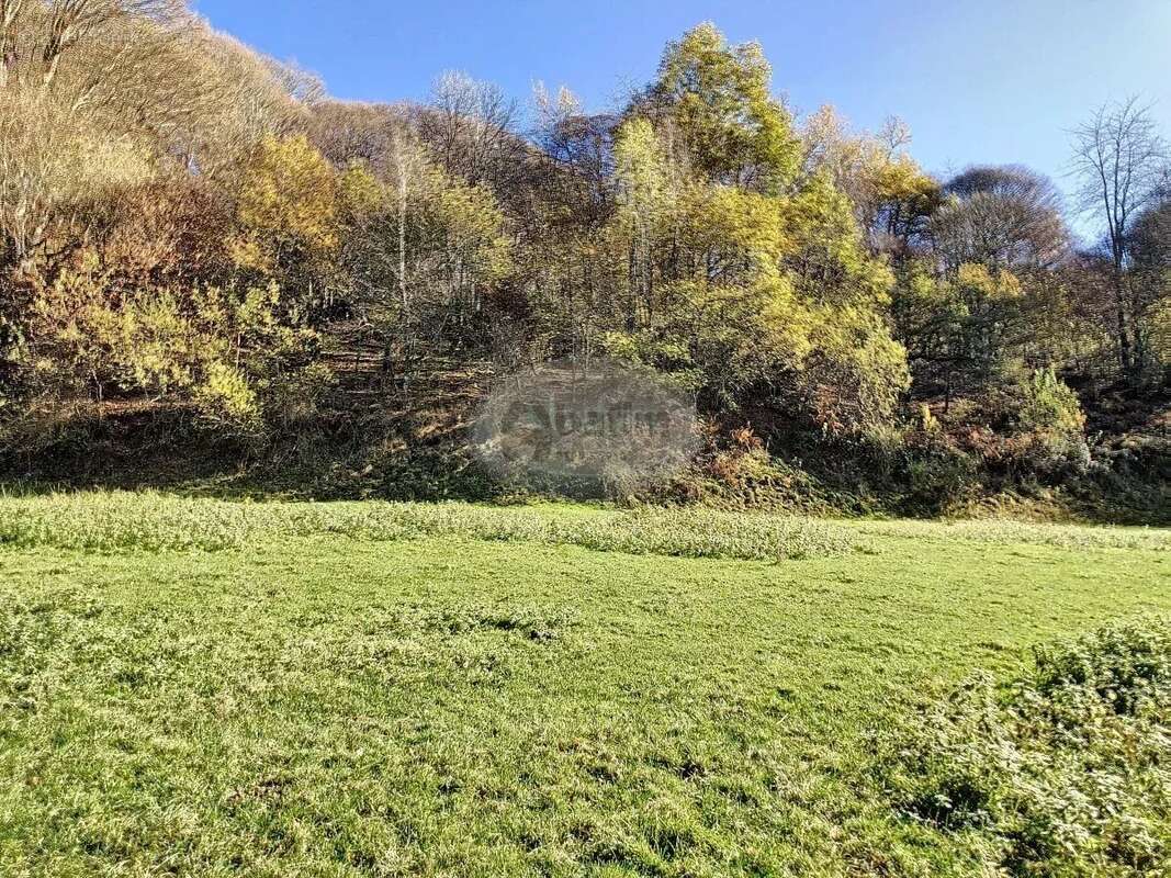 Maison à MAULEON-BAROUSSE