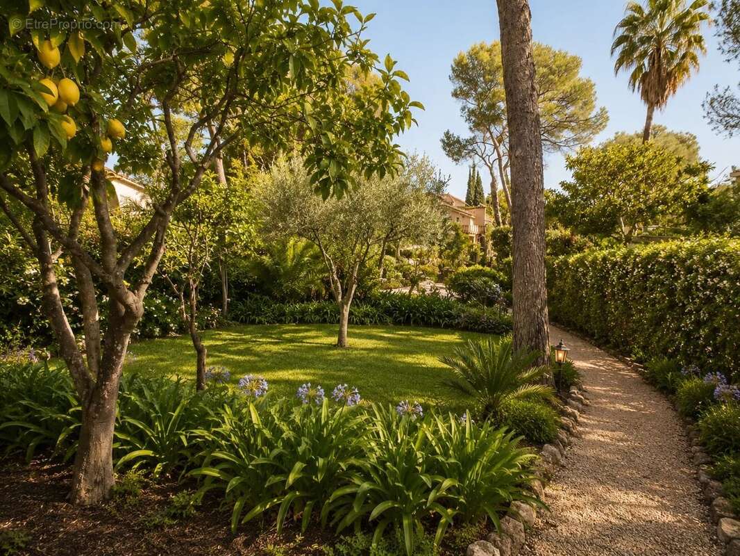 Saint jean cap ferrat - villa 7p 250m²  piscine  studio independant - photo 6