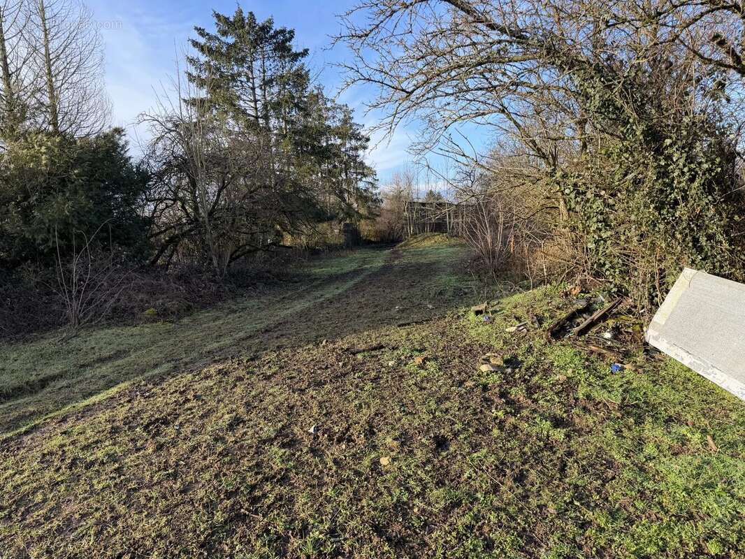 Terrain à FLETRANGE