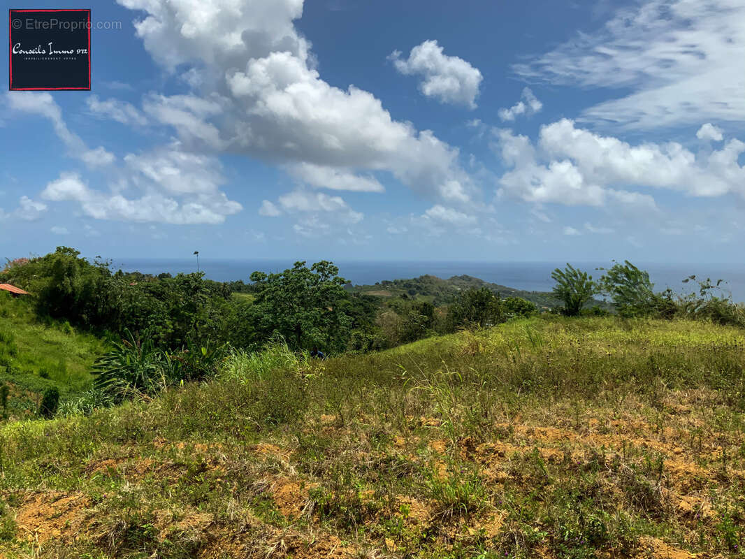 Terrain à SAINTE-MARIE