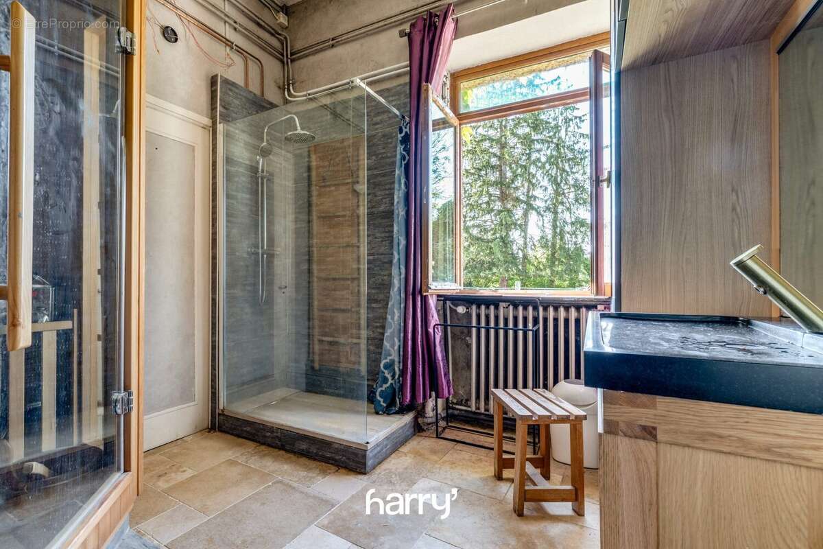 Maison 350 m² à Moncey  - photo 6