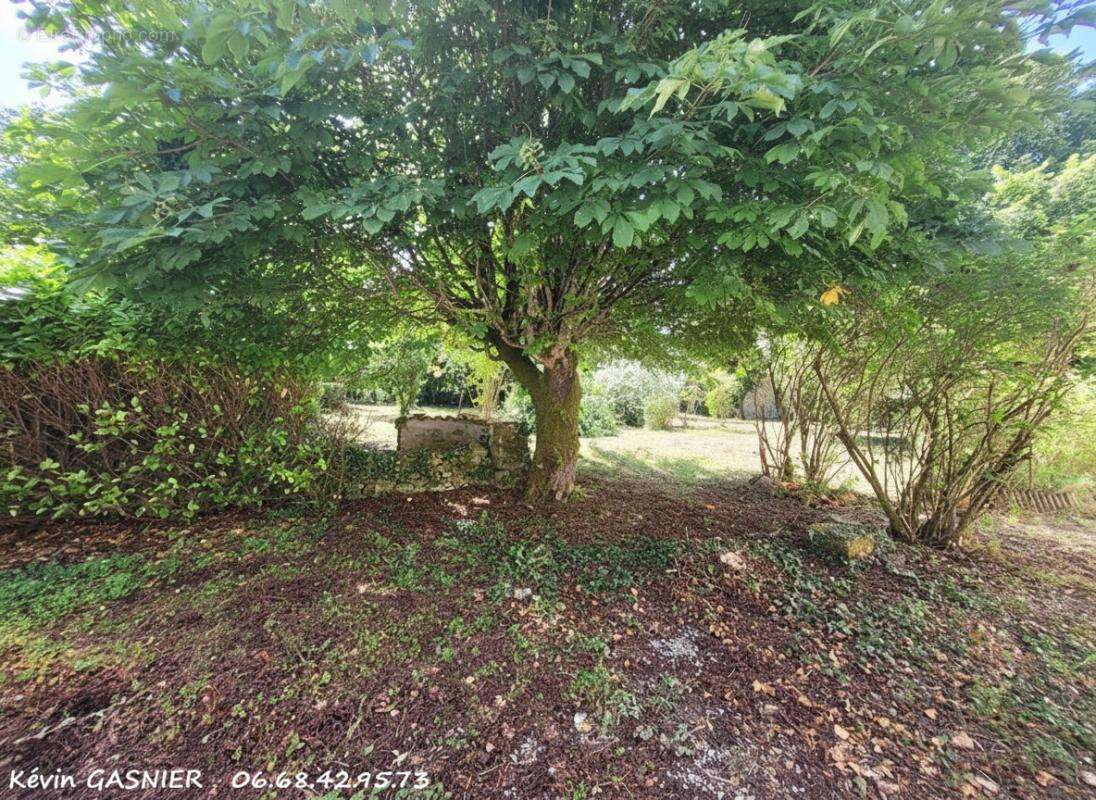 PAIZAY NAUDOIN EMBOURIE (16240) : Maison en pierre de 83m2 - photo 8
