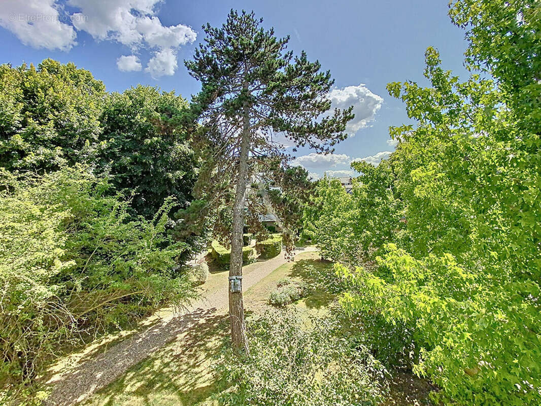 Appartement à SAINT-GERMAIN-EN-LAYE