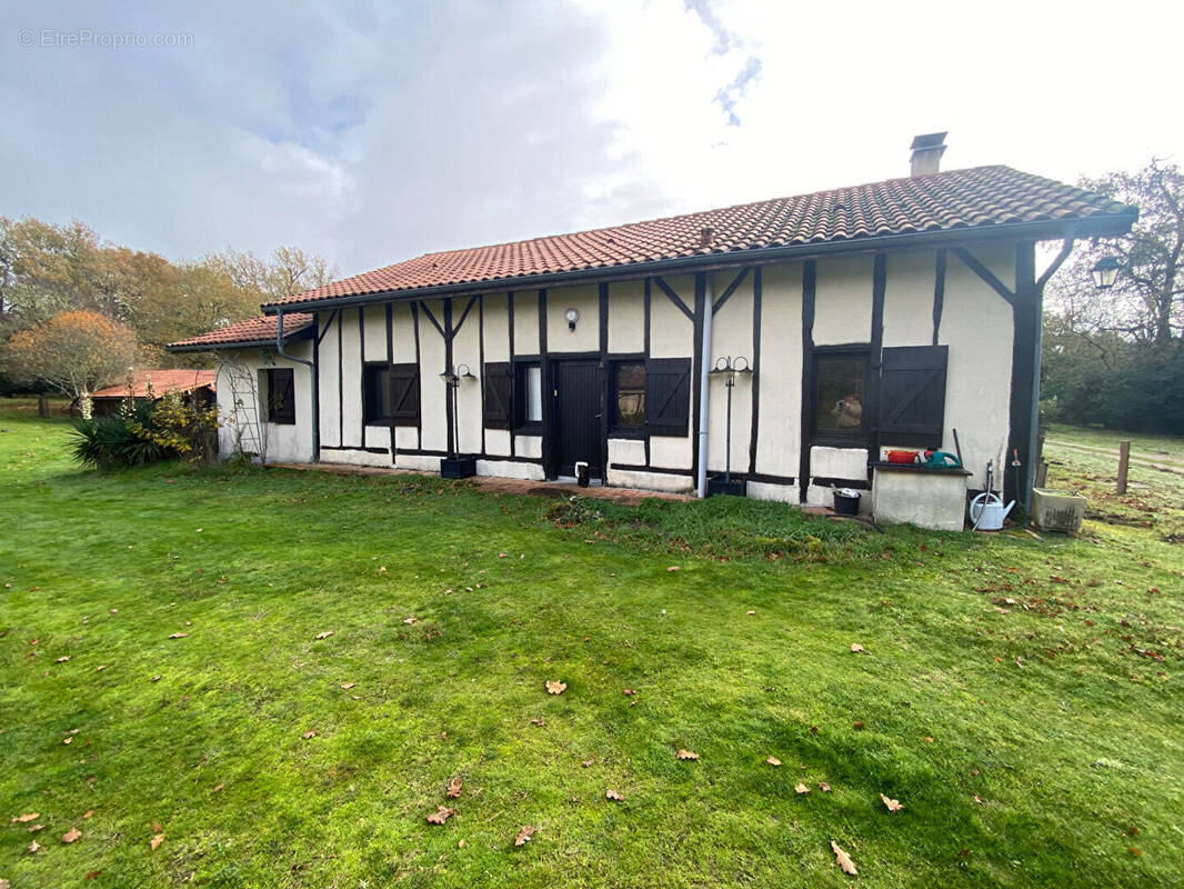 Maison à SABRES
