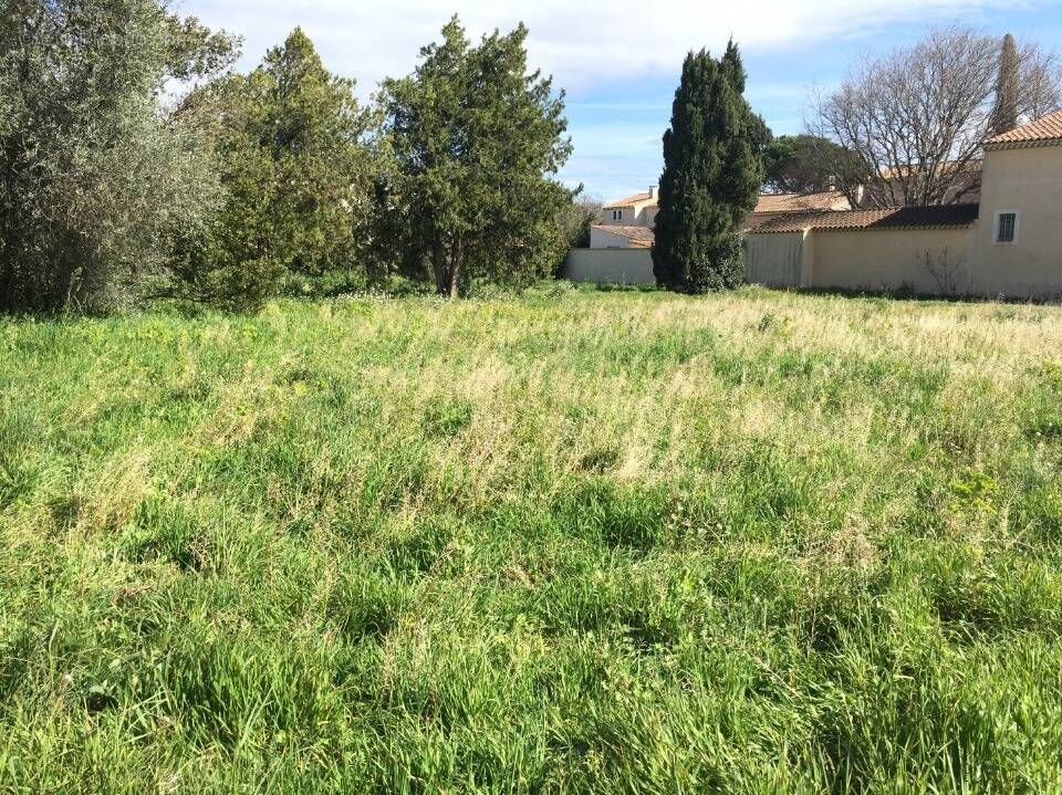 Terrain à SALON-DE-PROVENCE
