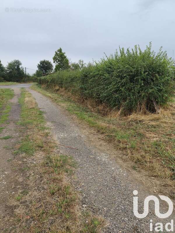 Photo 6 - Terrain à CEAULMONT
