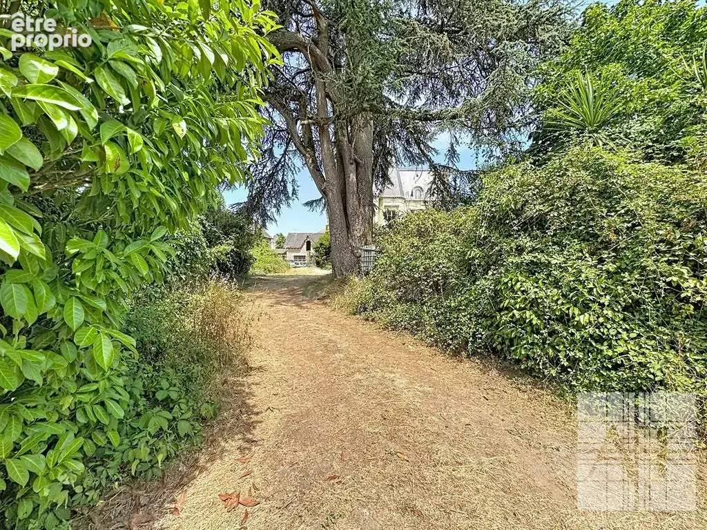 Château du Domaine avec parc de 4 084 m² - un projet de restauration unique! - photo 18