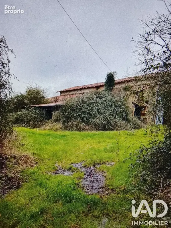 Photo 1 - Maison à SAINT-CYR-DES-GATS
