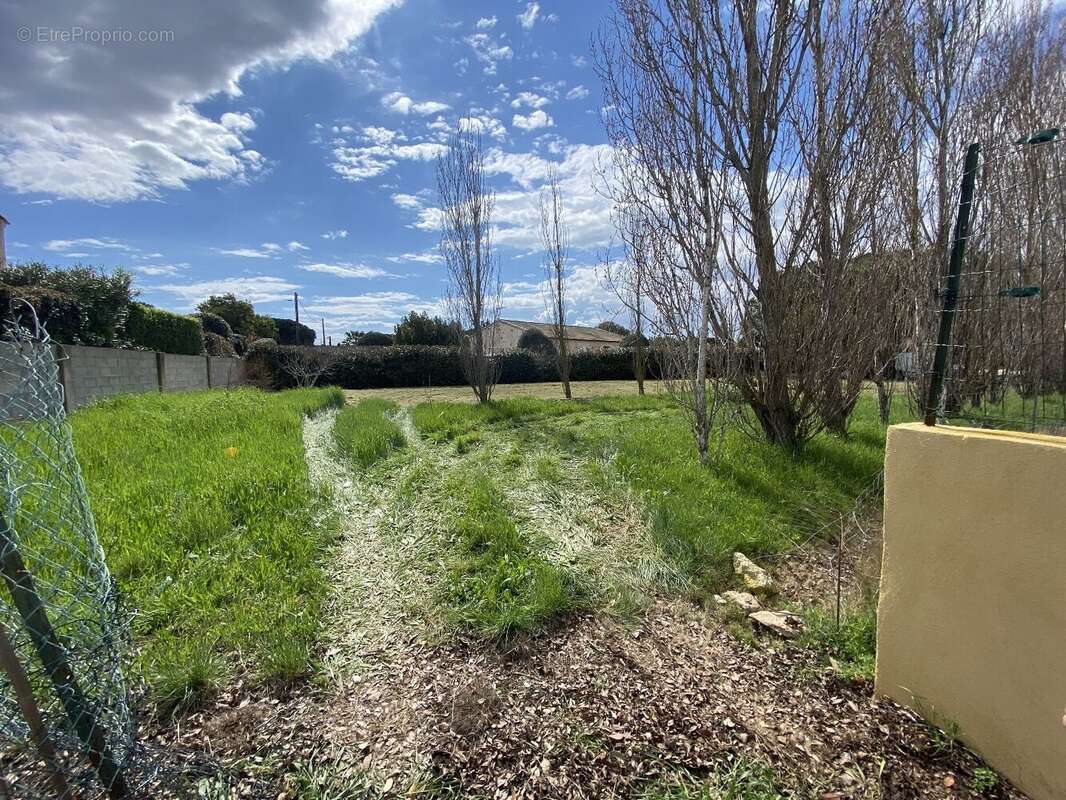 MARSEILLAN - belle parcelle arborée de 650m² - photo 5