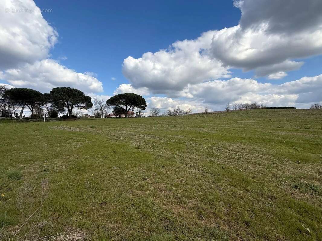 Terrain à bâtir viabilisé de 2 000m2 - photo 3