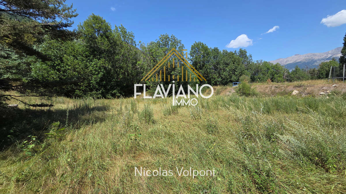 Terrain 1570 m2 - photo 4