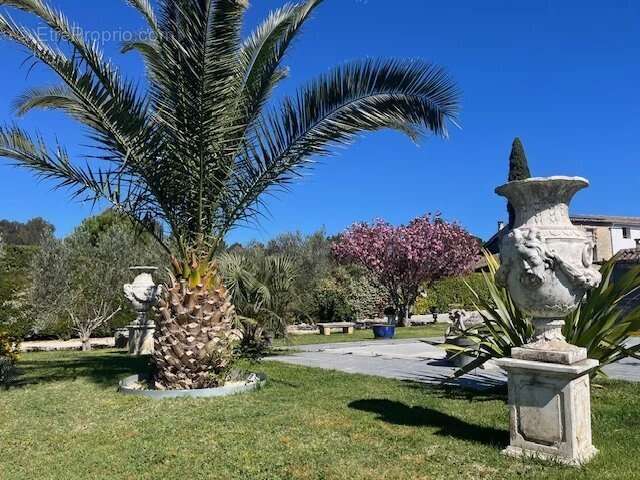 Cazan - Mas de 281 m² sur 3256 m² - photo 11