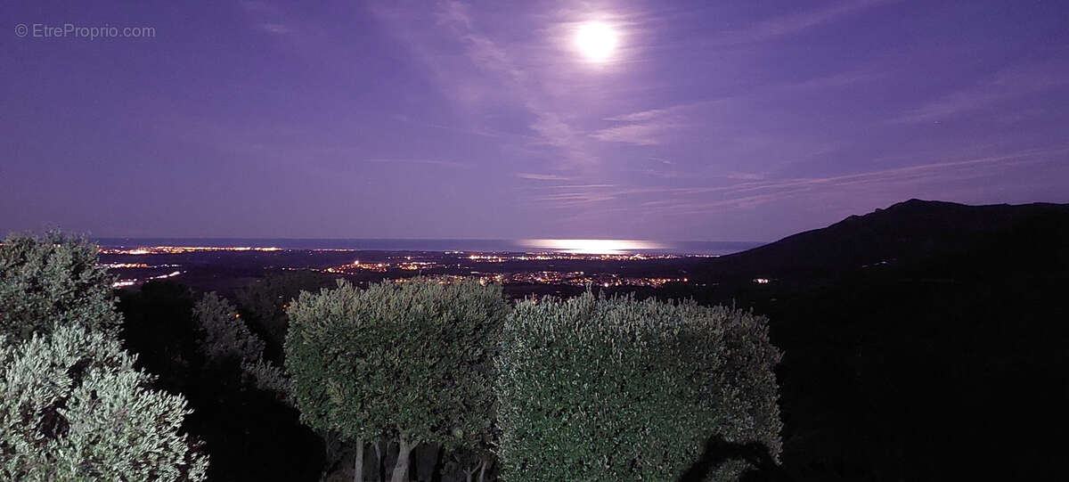 Maison à LAROQUE-DES-ALBERES