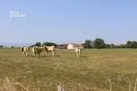 Secteur MONTREJEAU , Ferme agricole / dépendances / terrain de 8.5 Hectares; - photo 8