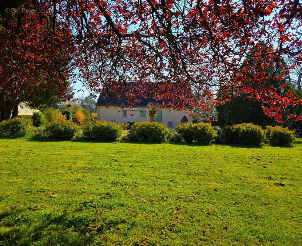 Photo 3 - Maison à BAUGE