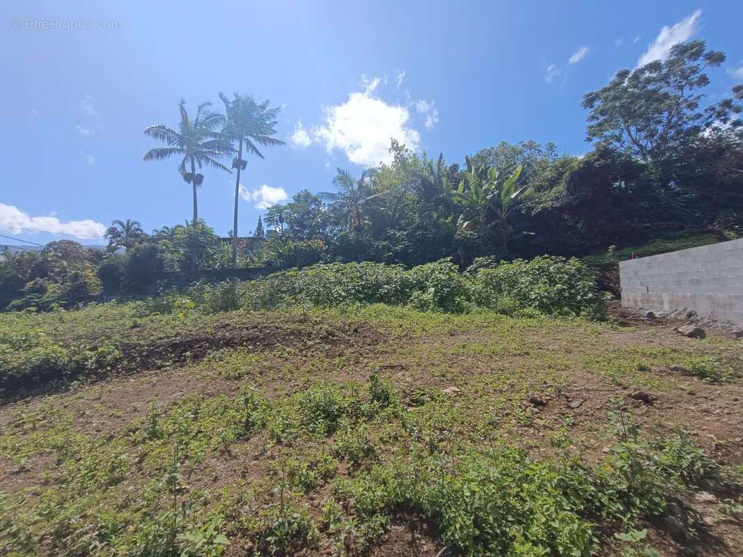 Terrain à LE TAMPON