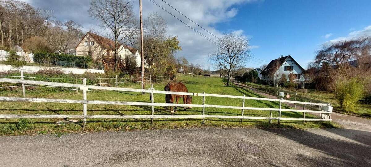 Photo 6 - Terrain à LUTZELHOUSE
