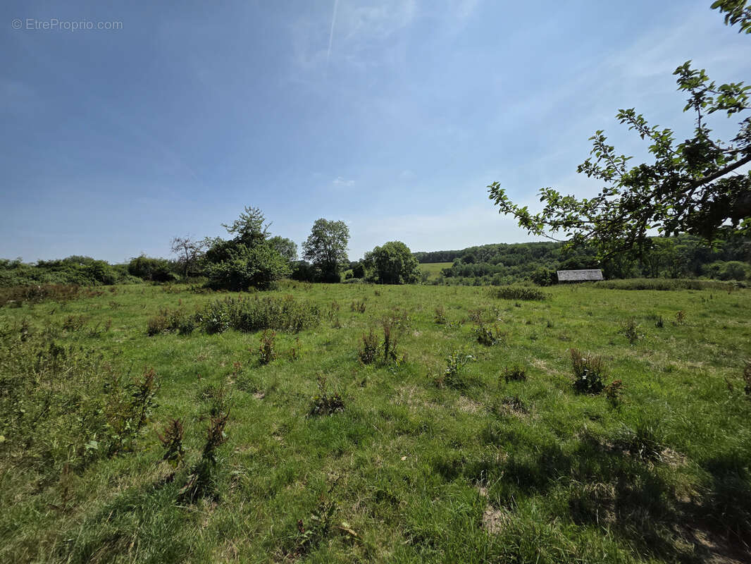 Maison à THIBERVILLE
