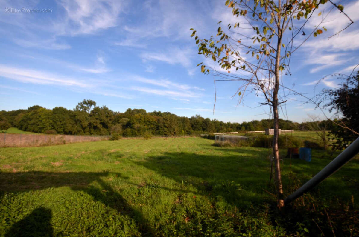Maison à AIRE-SUR-L&#039;ADOUR