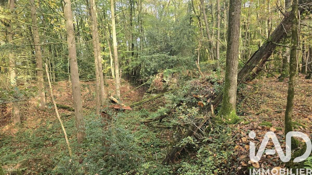 Photo 3 - Terrain à VIEUX-VY-SUR-COUESNON