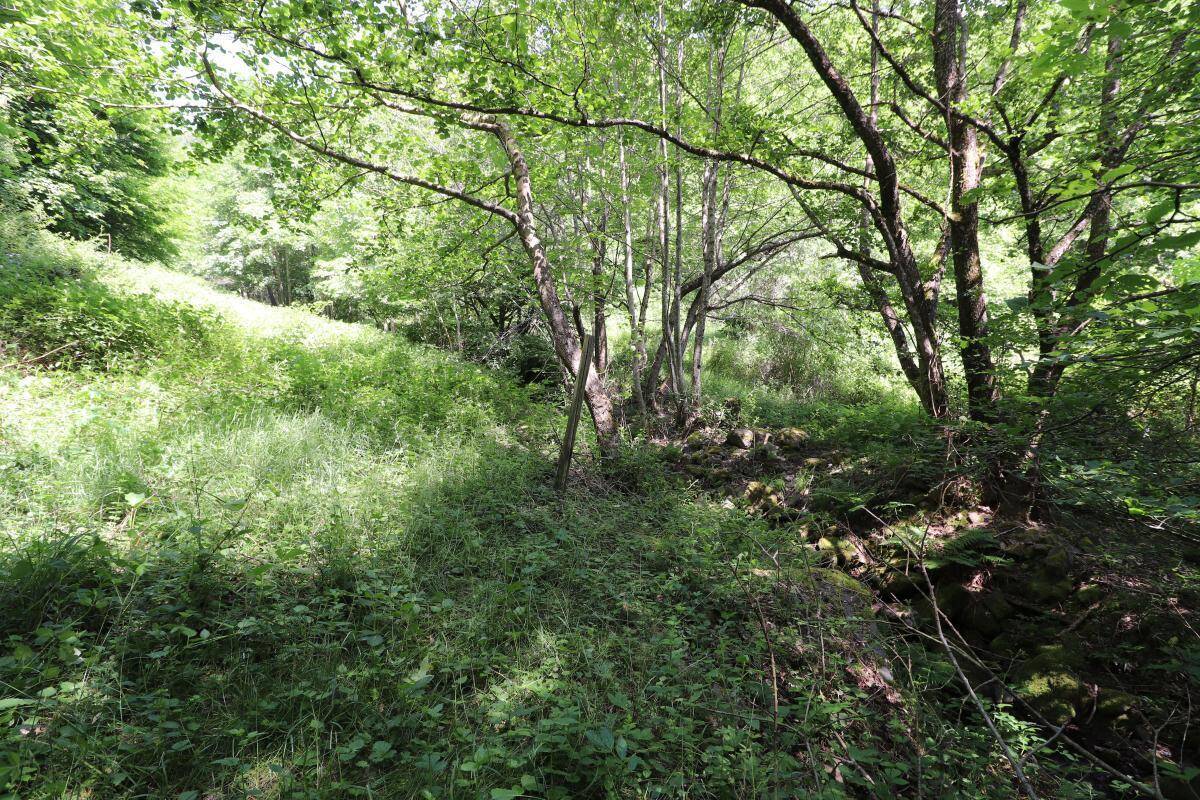 Terrain à LINTHAL