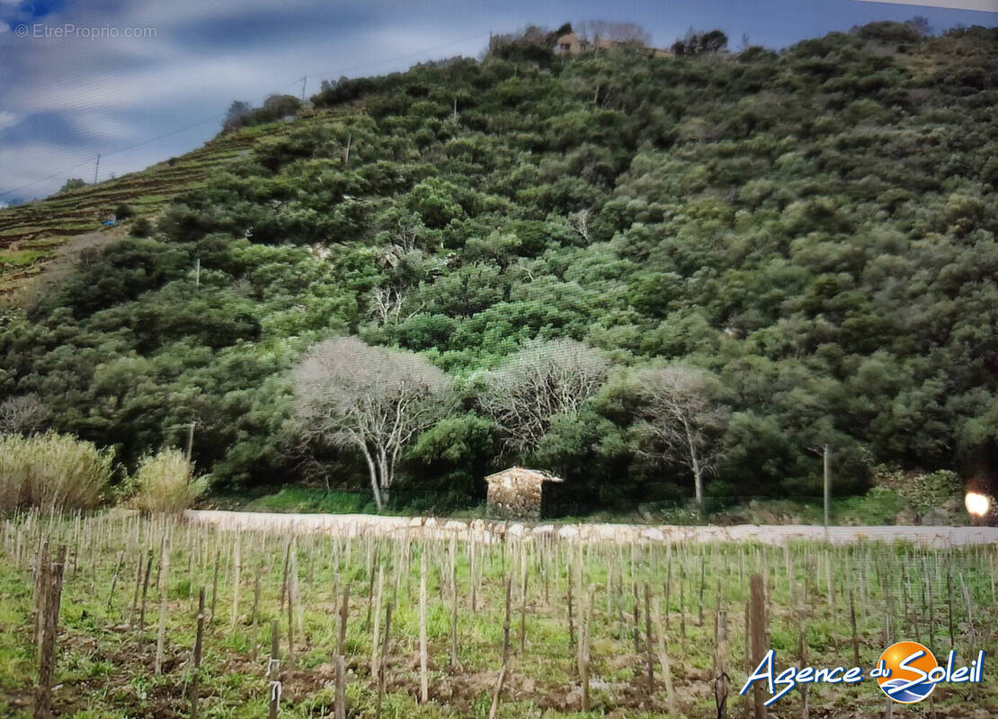 Terrain à BANYULS-SUR-MER