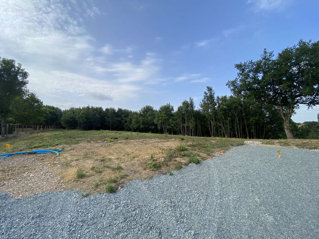 Terrain à MONTANS