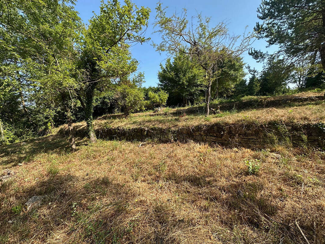 Terrain à CALLIAN