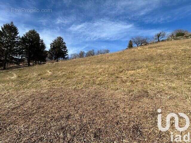 Photo 2 - Terrain à SAINT-PIERRE-D'ALLEVARD