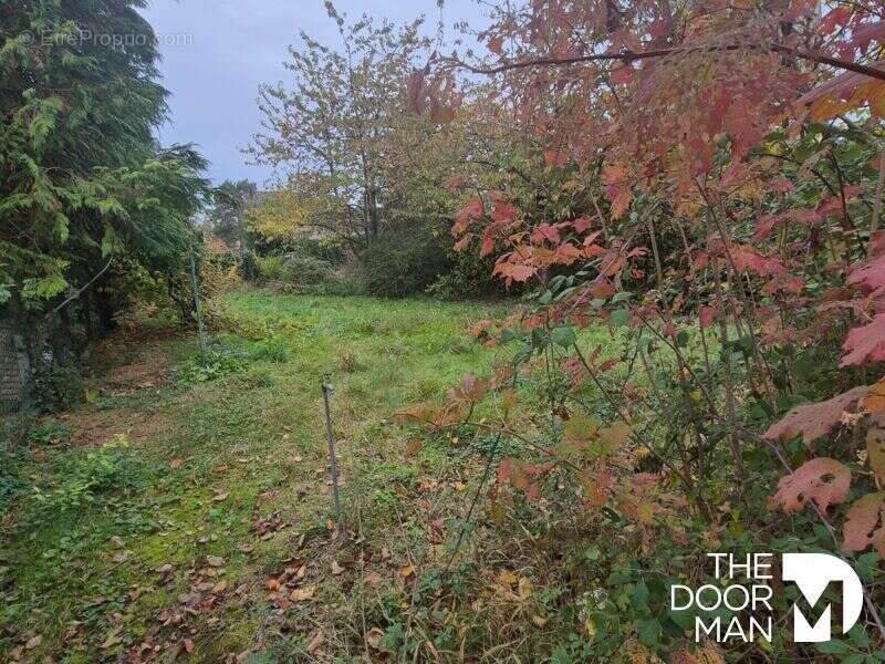 Terrain à LES ESSARTS-LE-ROI