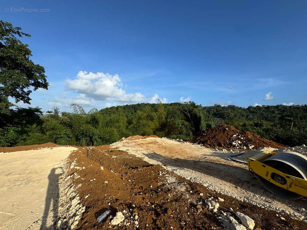 Terrain à PETIT-BOURG
