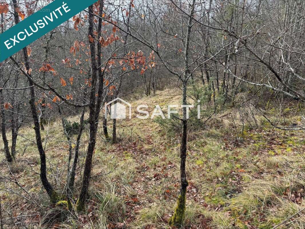 Photo 7 - Terrain à LA ROUQUETTE