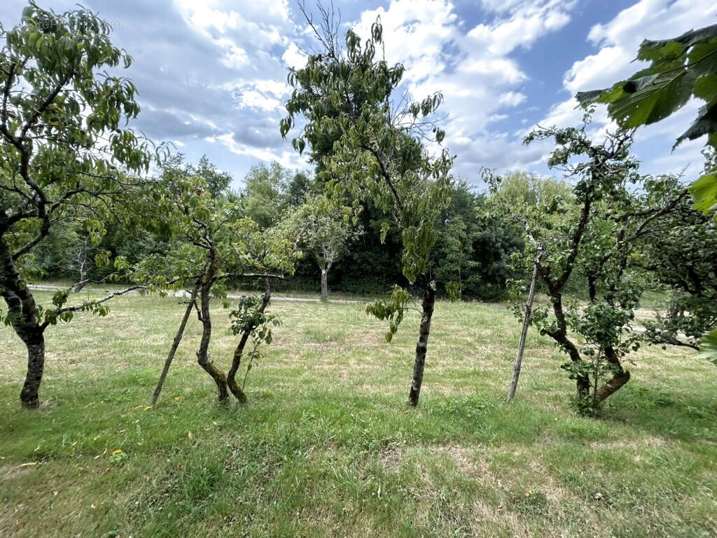 Terrain à BARBECHAT