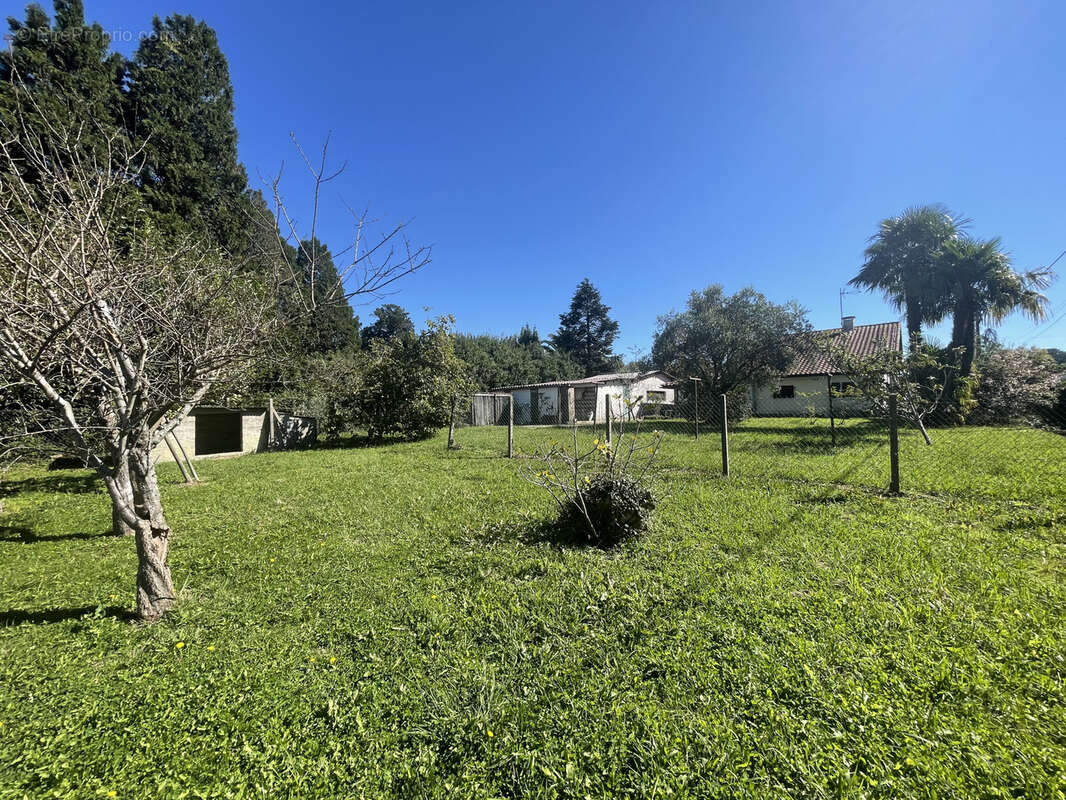 Maison à ARCANGUES