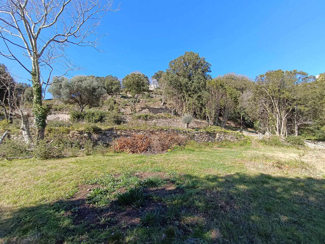 Terrain à BASTIA