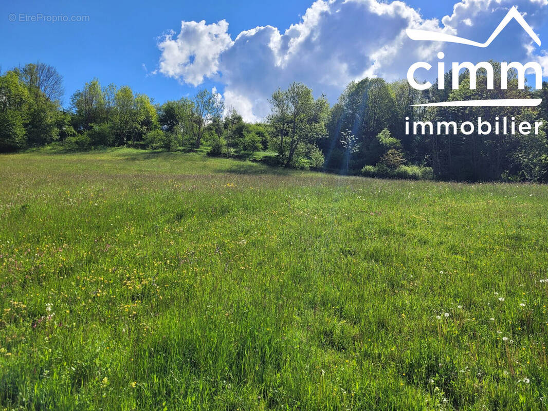 Terrain à LA CHAPELLE-EN-VERCORS