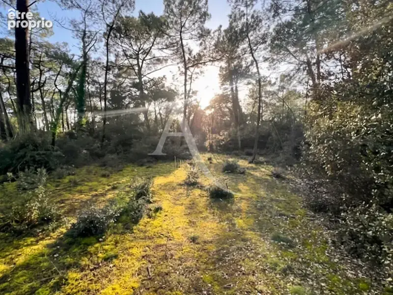Terrain à SAINT-JEAN-DE-MONTS