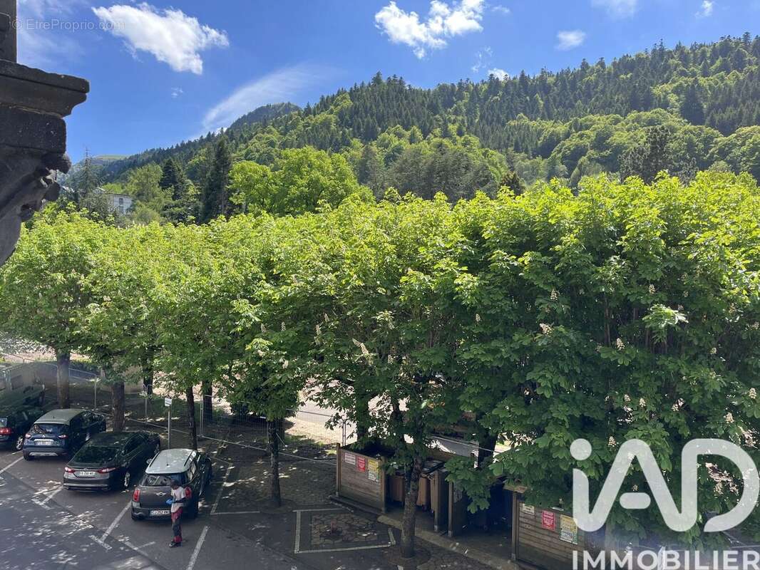 Photo 3 - Appartement à MONT-DORE