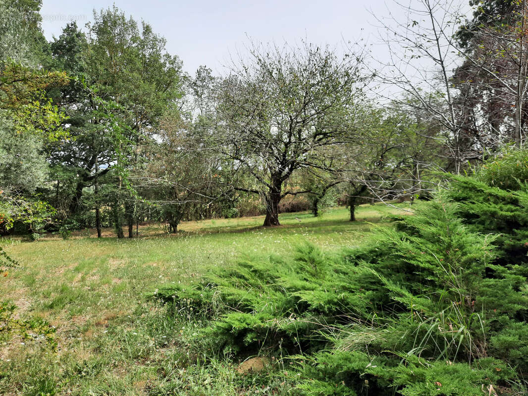 Maison à CASTANET-TOLOSAN
