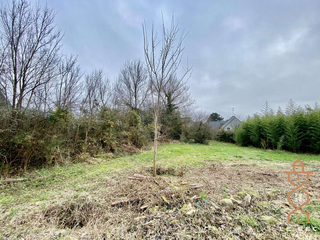 Terrain à SAINT-PHILIBERT